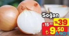 SOĞAN KG SOĞAN KG